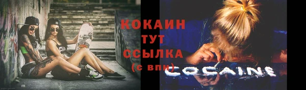 тгк Верея