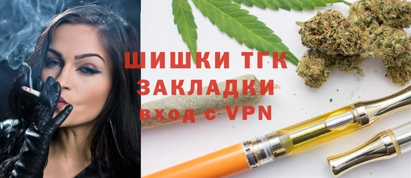 тгк Верея