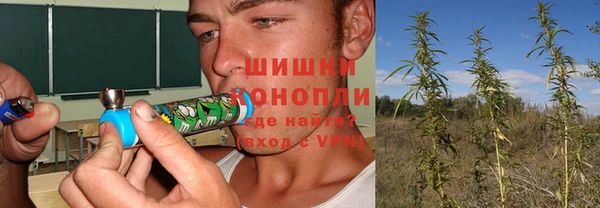 мдпв Волоколамск
