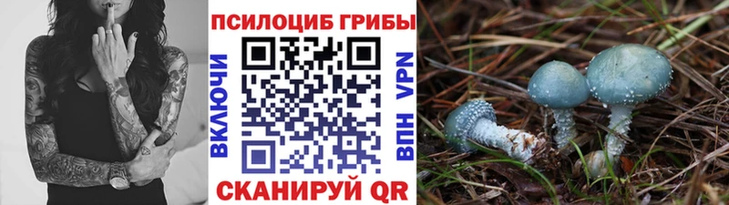 Псилоцибиновые грибы ЛСД  Гаврилов Посад 