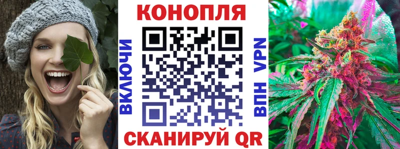 где можно купить   Гаврилов Посад  Бошки Шишки сатива 